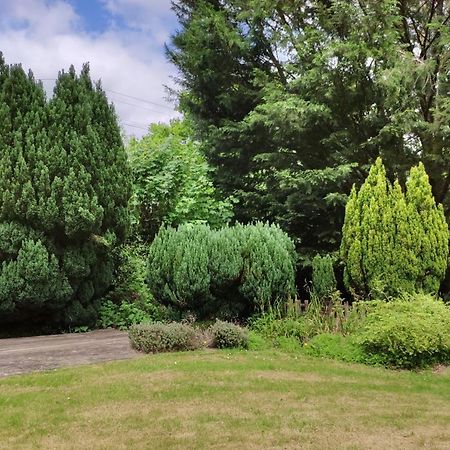 The Annex Roundaway Lodge Okehampton Extérieur photo